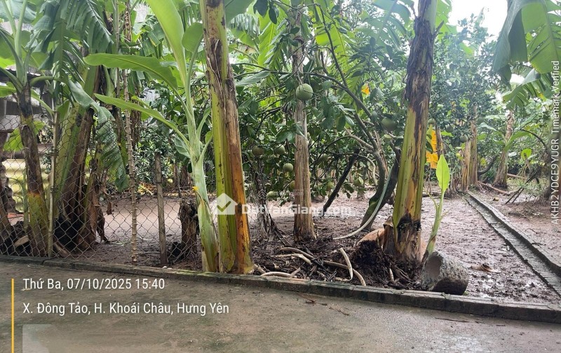 Bán đất Đông Tảo Khoái Châu 195,8m² gần Vành Đai 4, cạnh SunGroup, đường ô tô, vị trí đẹp giá đầu tư